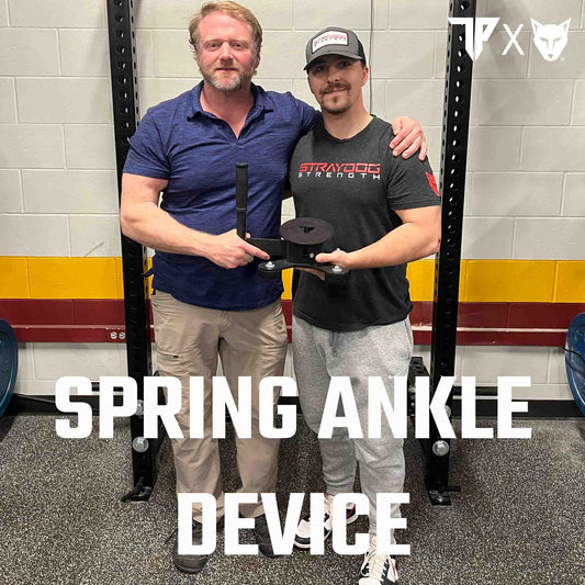 Exploring the Power of Spring Ankle Torque Positions