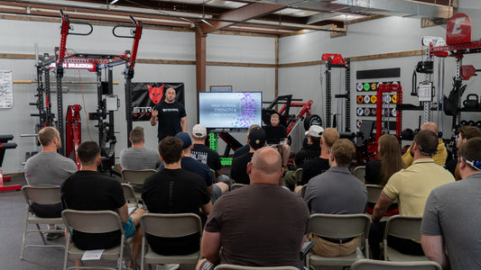 Stray Dog Performance