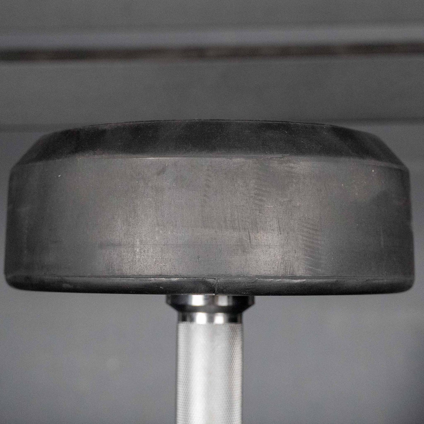Stray Dog Rubber Dumbbells