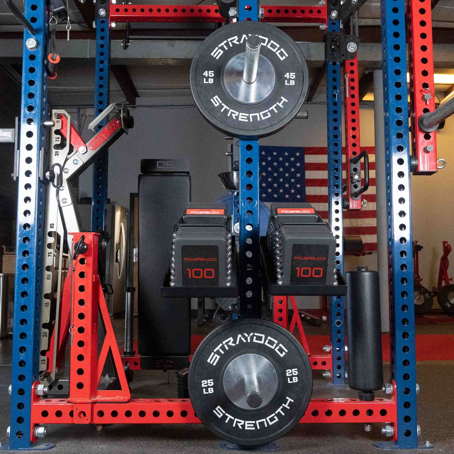 PowerBlock® Dumbbells