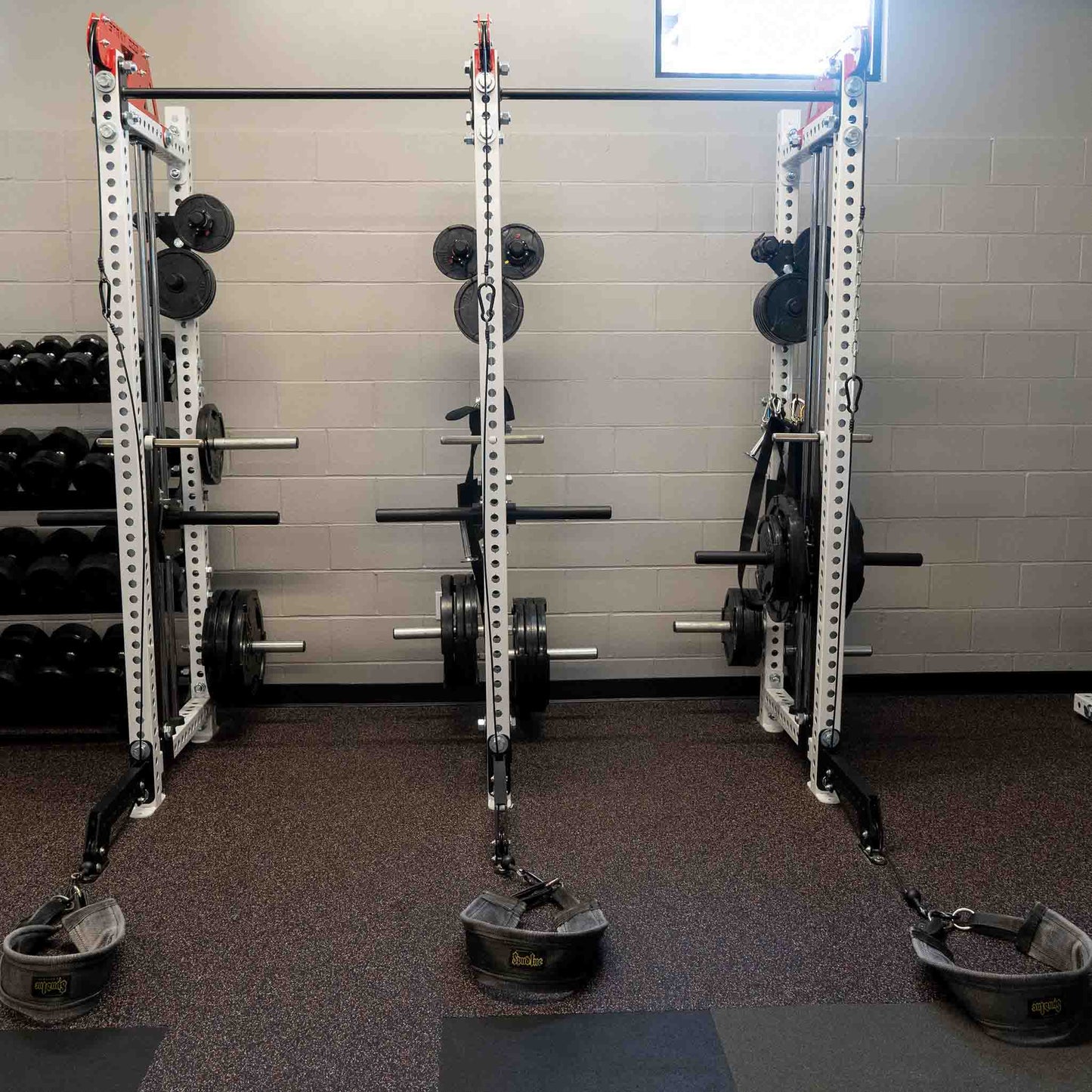 ATR Compact Belt Squat