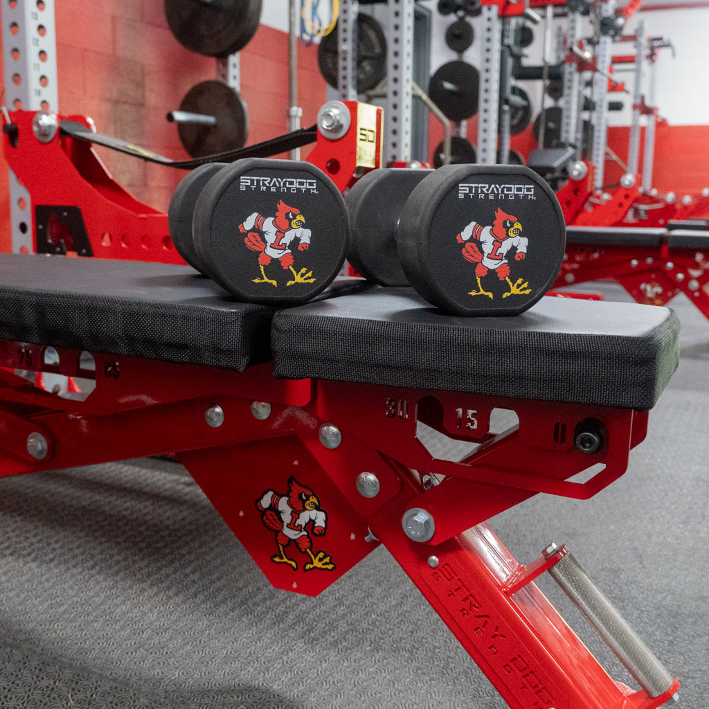 Custom Rubber Dumbbells