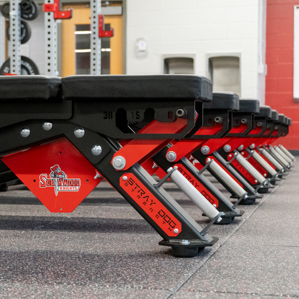 Alpha Bench