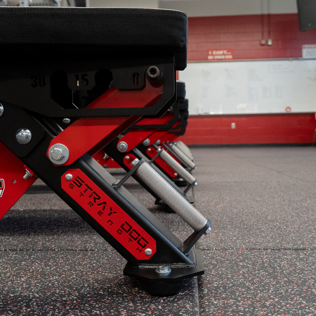 Alpha Bench