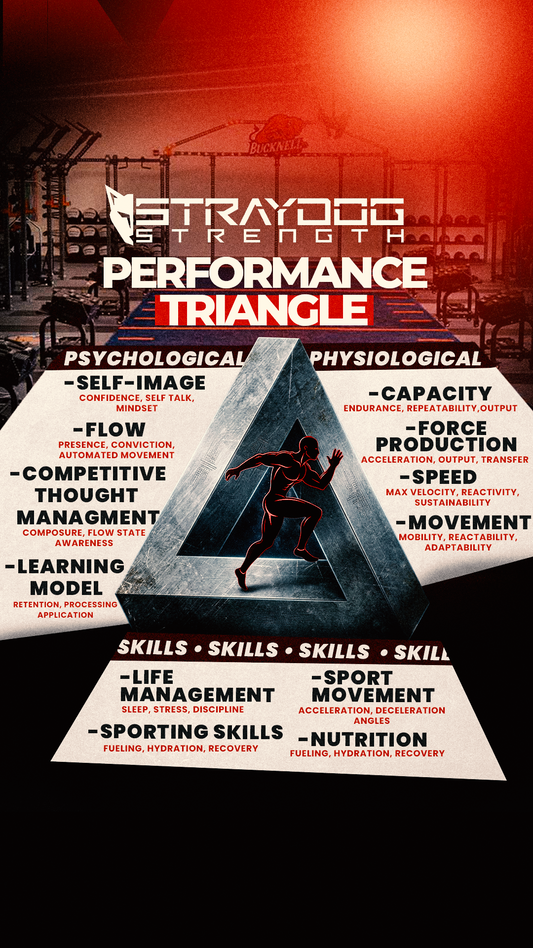 Performance Triangle-A Holistic Approach To Atheltic Performance