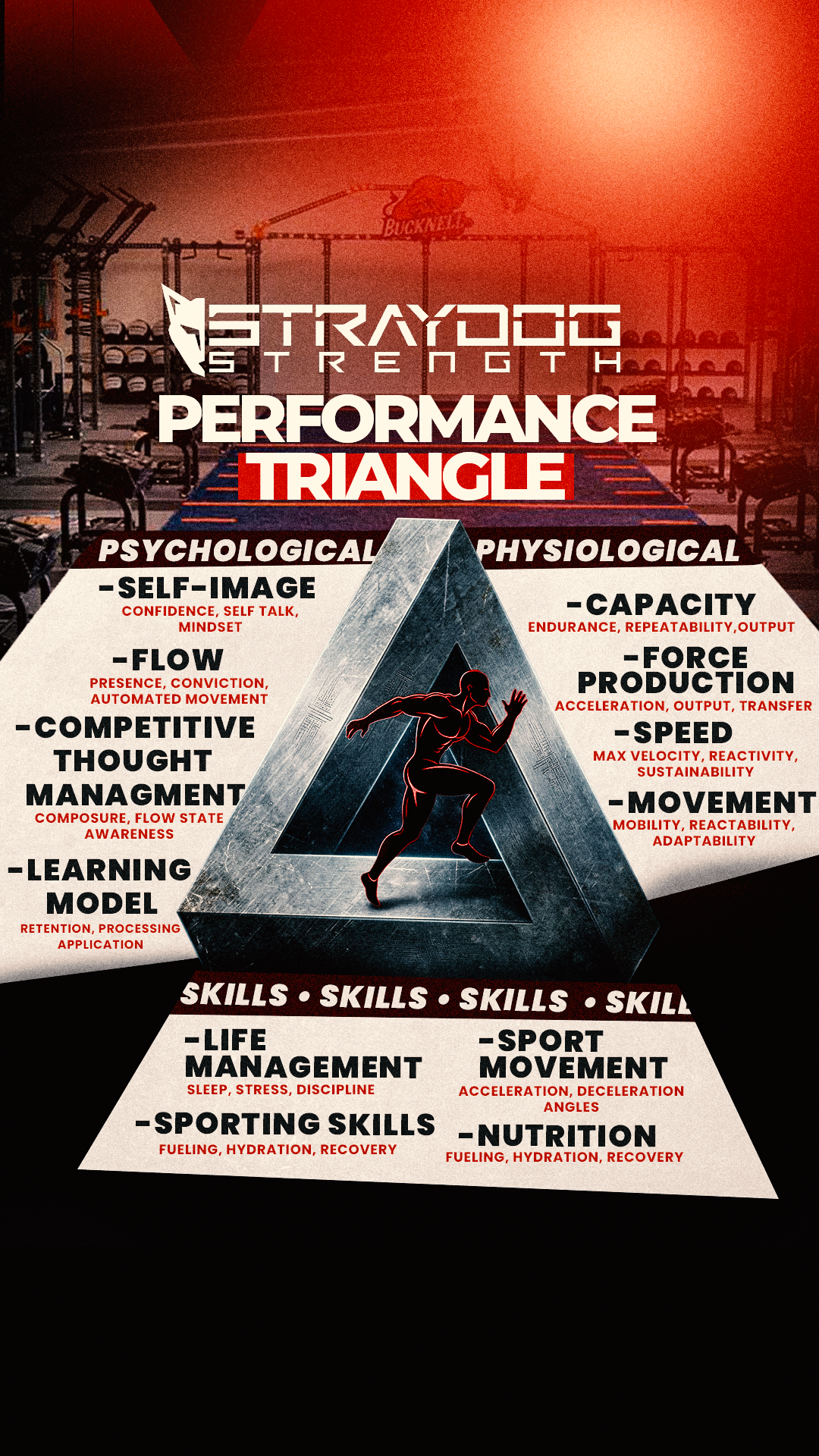 Performance Triangle-A Holistic Approach To Atheltic Performance