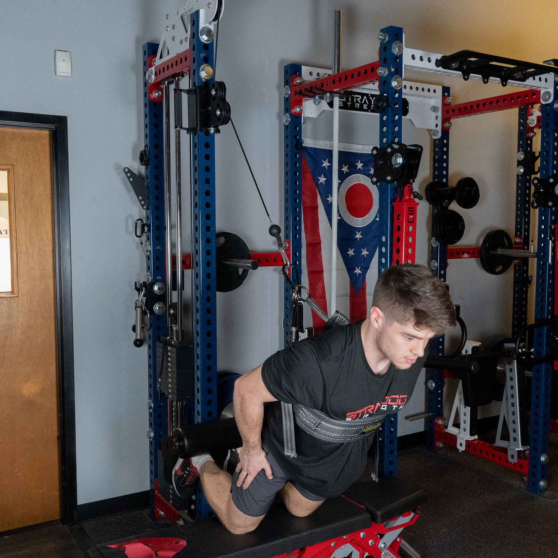 Assisted Nordic Hamstring Curls