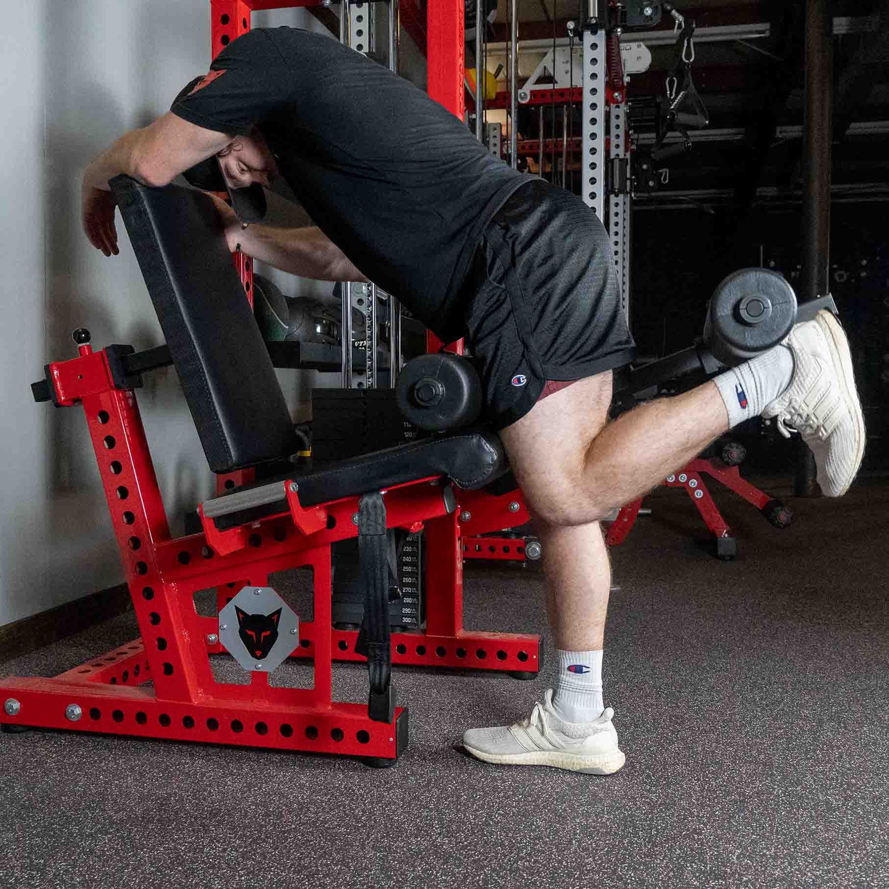 Different ways to train Hamstrings on SDS Equipment – Stray Dog Strength