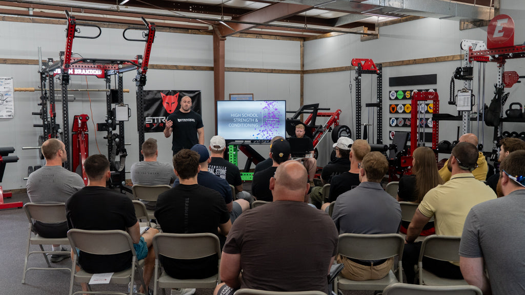 Stray Dog Performance