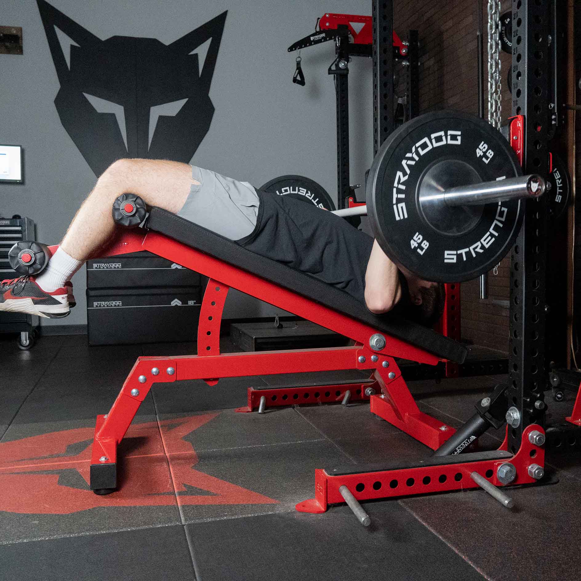 Decline Bench – Stray Dog Strength