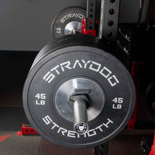 Stray Dog Aggressive Power Bar
