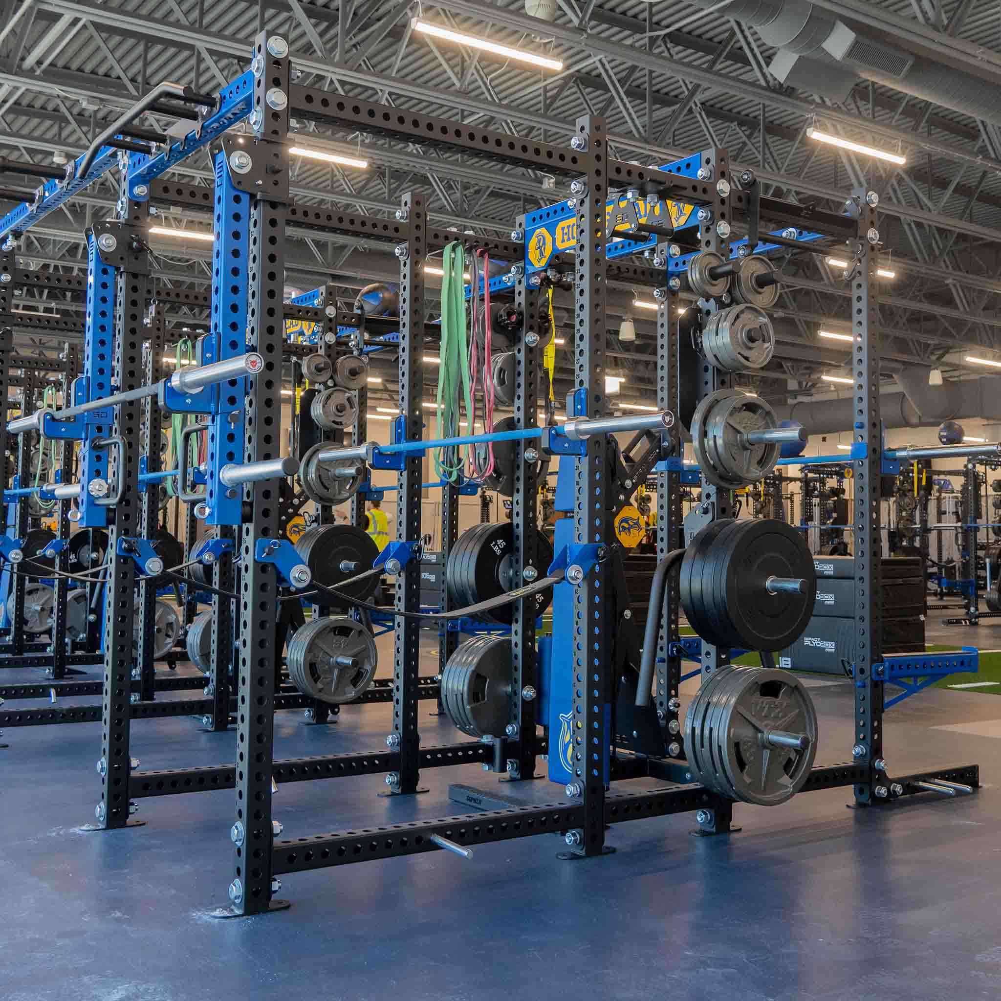 Alpha Half Rack Racks – Stray Dog Strength