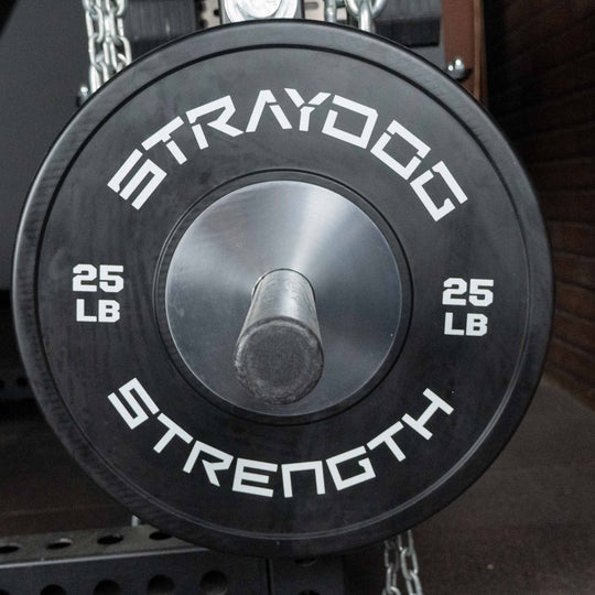 Stray Dog Strength Competition Bumpers