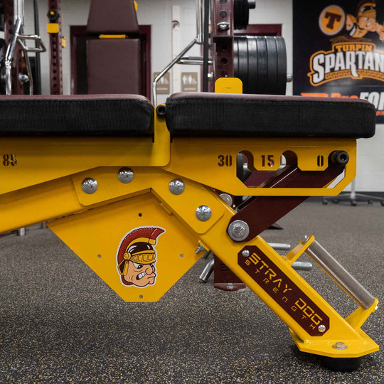 Alpha Bench Decal Logo