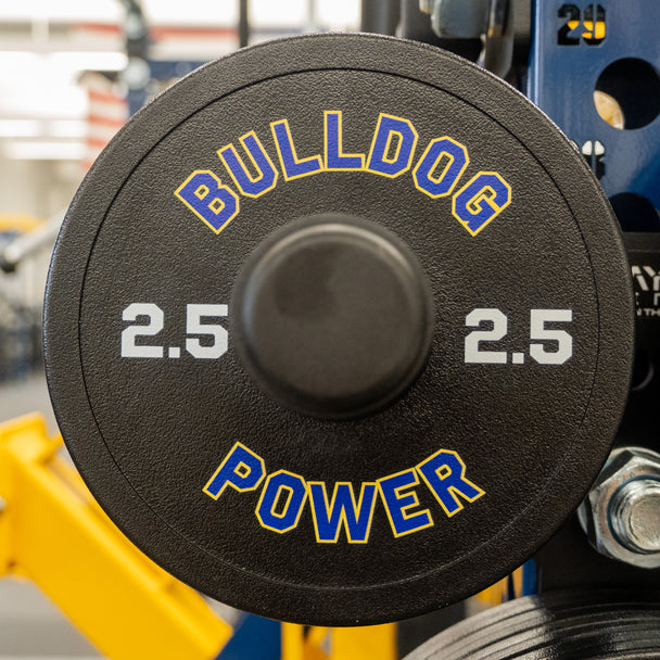 Custom Competition Stray Dog Bumpers