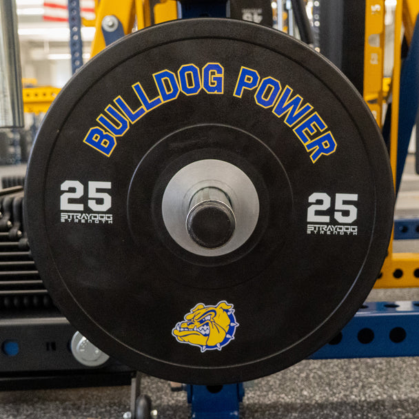 Custom Competition Stray Dog Bumpers