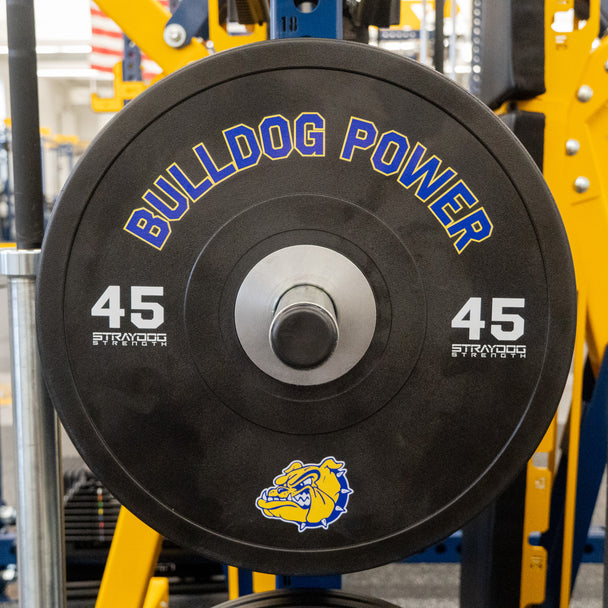 Custom Competition Stray Dog Bumpers