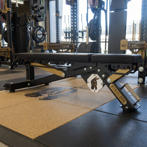 Alpha Bench