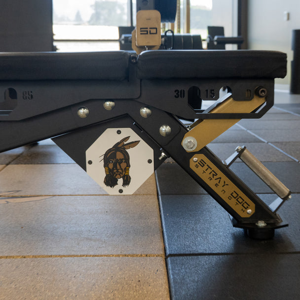 Alpha Bench