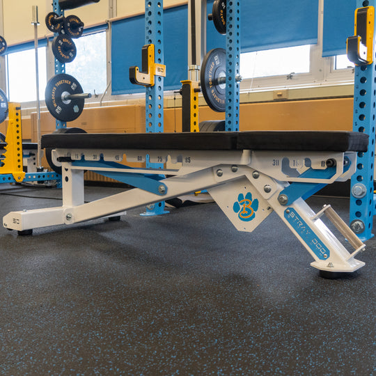 Alpha Bench