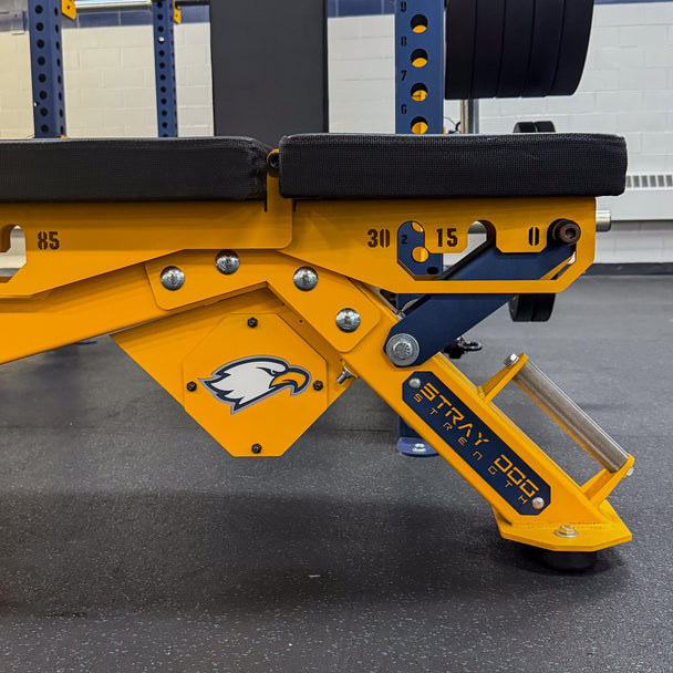 Alpha Bench