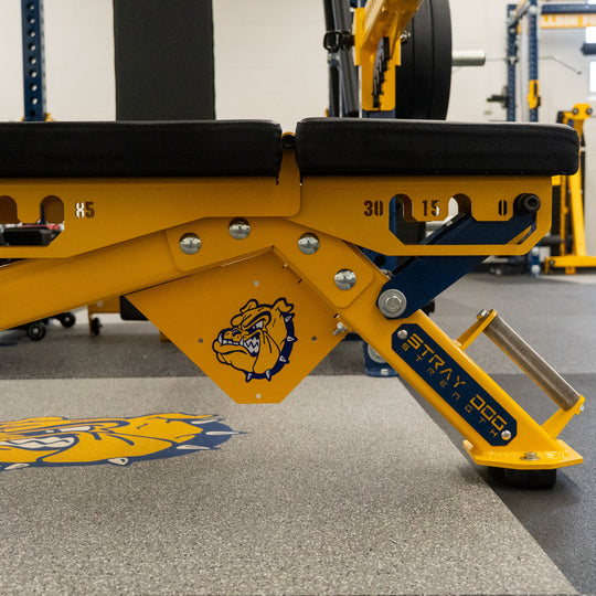 Alpha Bench Decal Logo