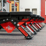 Alpha Bench – Stray Dog Strength