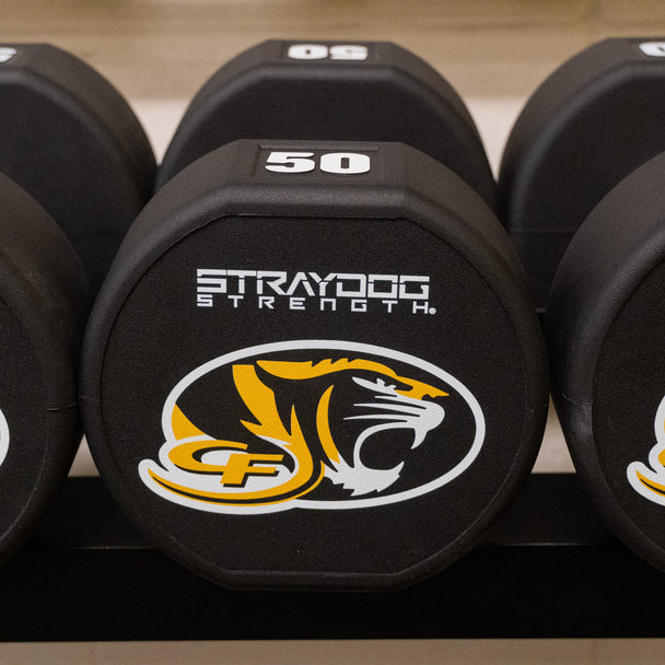 Custom Rubber Dumbbells