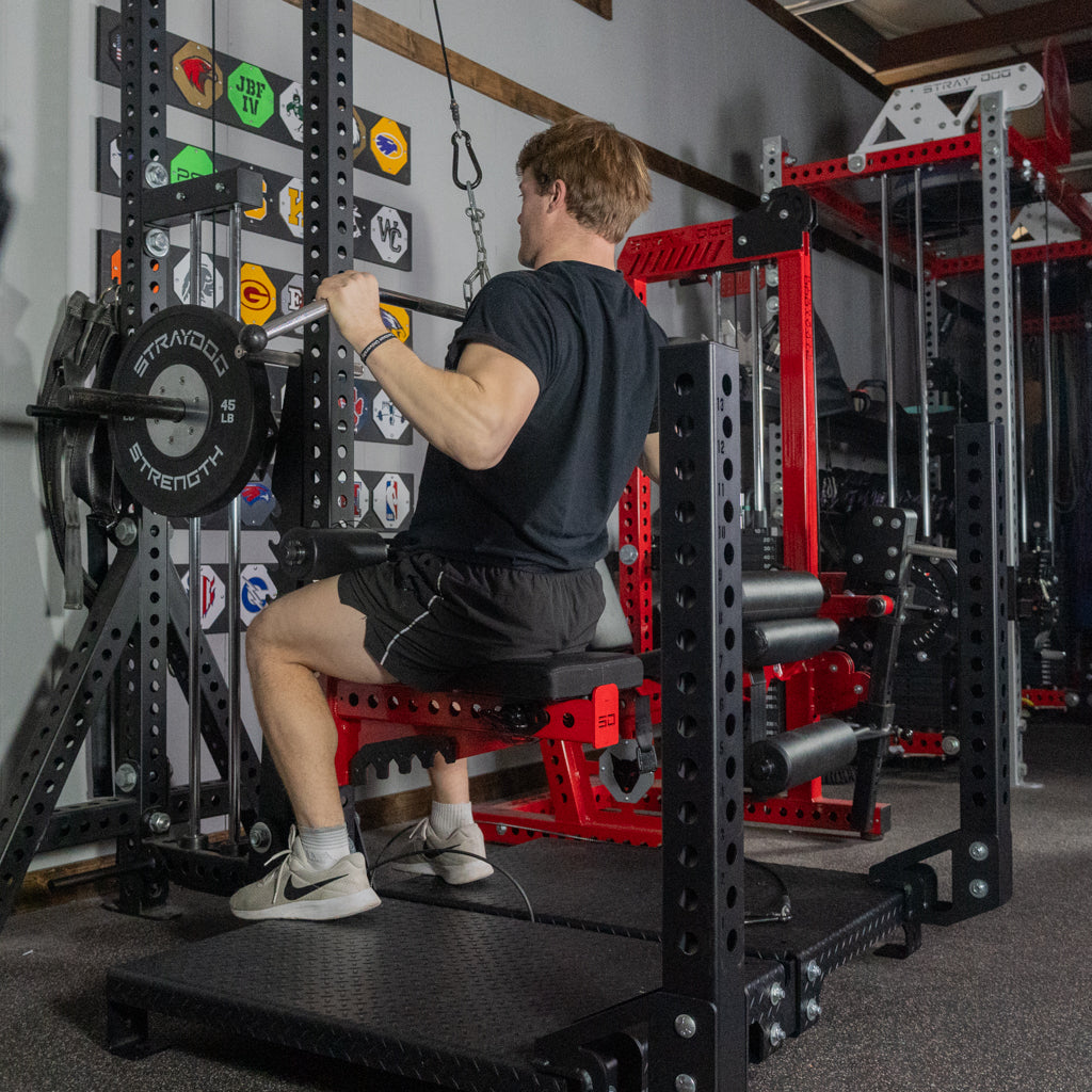 Platform Belt Squat Free Standing