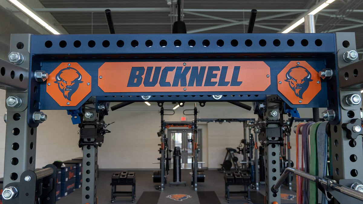 Bucknell University gallery showcase image