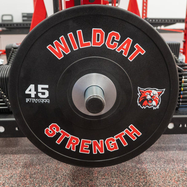 Custom Competition Stray Dog Bumpers