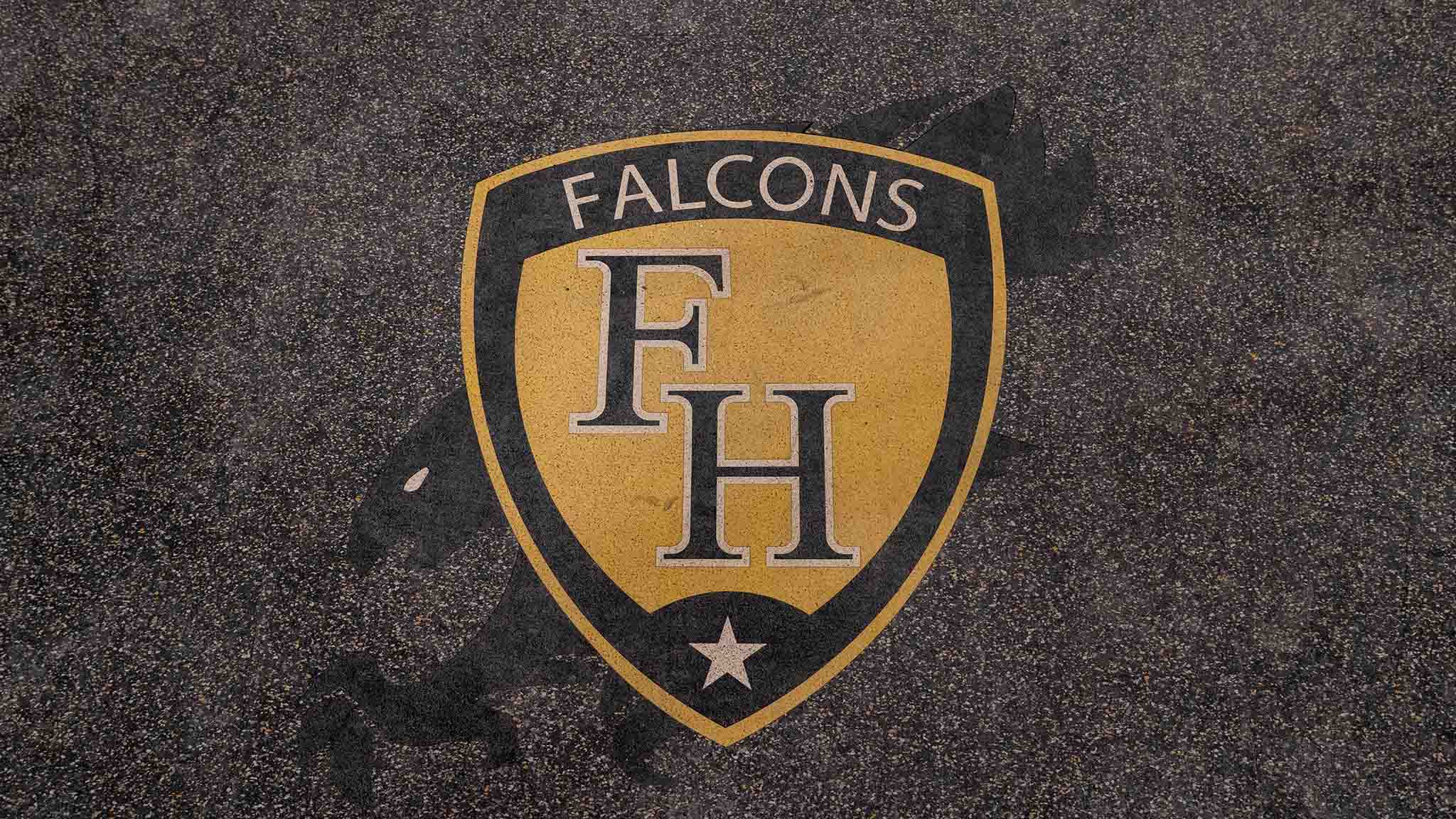 falcons logo dark